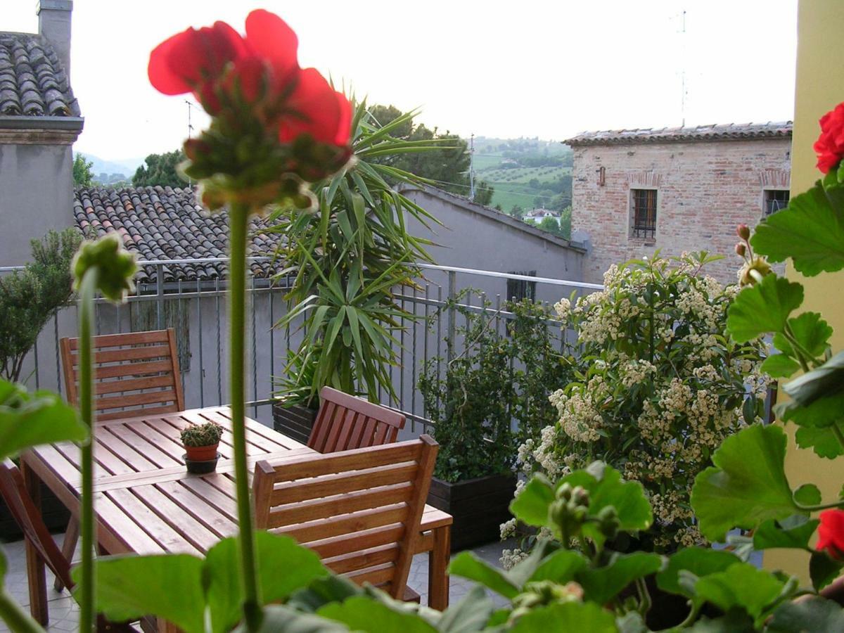 Cappone B&B Morciano di Romagna Eksteriør bilde